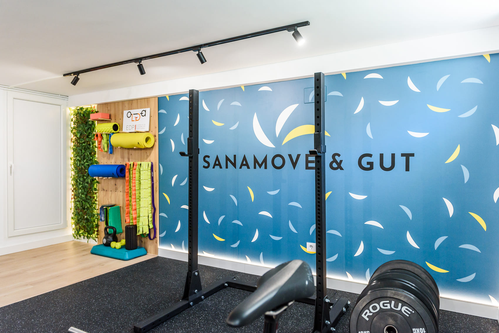 Gimnasio SanamoveGut 1 opti